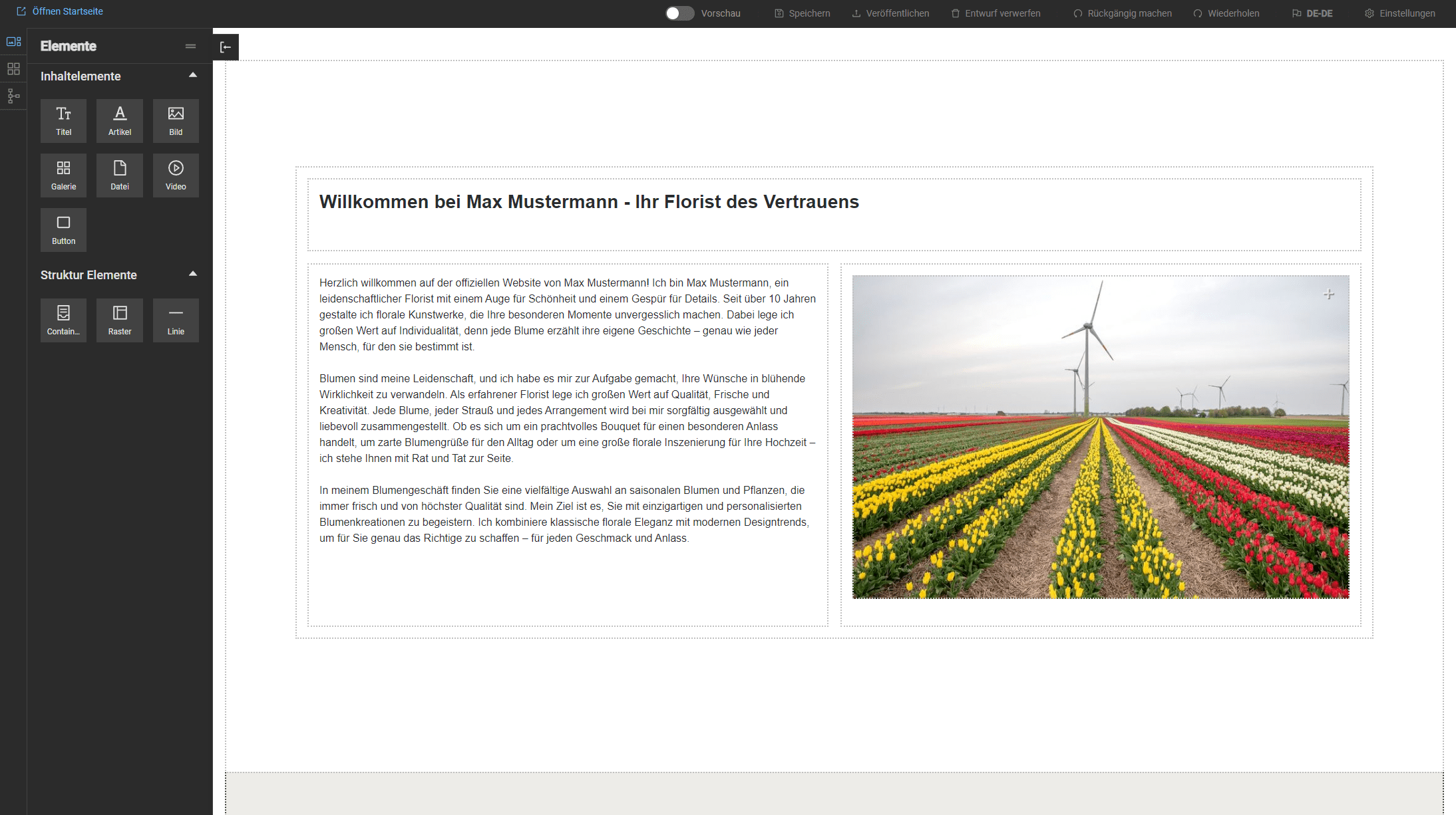 Live Editor - Elemente